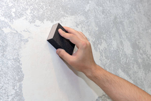 Best Real Estate Mold Inspection  in Brady, TX
